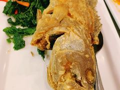 葛抛叶炸石斑鱼-建兴酒家(素里翁分店)