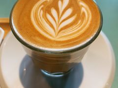 左翼拿铁-sugarman espresso素饮糖人高新咖啡工厂
