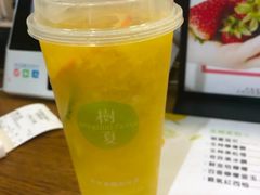 -树夏(建设路店)