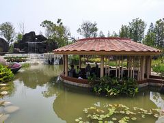 -东平国家森林公园