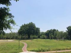 -风云岭森林公园