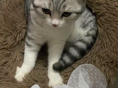 -武汉马哥孛罗酒店