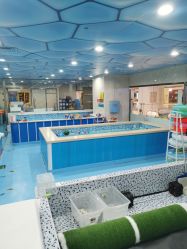 -子木乐园婴儿游泳馆(水晶港店)