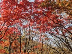 -关门山森林公园