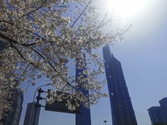 -陆家嘴中心绿地