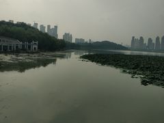 -古琴台