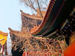 -宝通禅寺