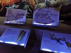 -中国西峡恐龙遗迹园