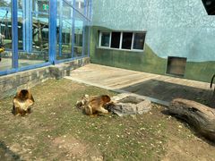 -大连森林动物园