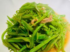 -新连采·海鲜·大连菜(大连恒隆广场店)