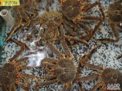 渔民新村48-渔民新村(番禺总店)