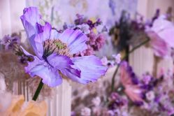 -艾米婚纱&婚礼策划