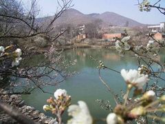 -樱桃沟景区
