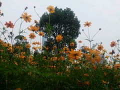 -艾溪湖湿地公园