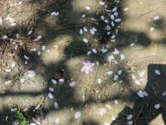 -江南大学(蠡湖校区)