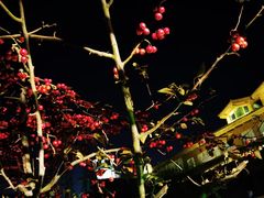 -大连金石滩绿发温泉假日酒店