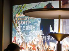 -佬肥猫(国华广场店)