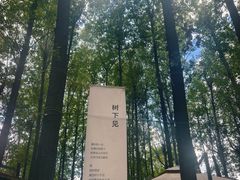 -林间山庄
