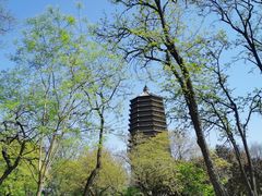 -玲珑塔公园