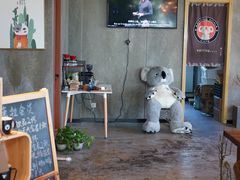 -了不起的考拉咖啡店(高新店)