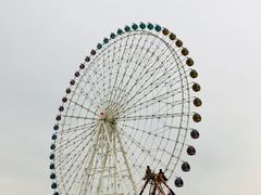 -凤凰欢乐大世界