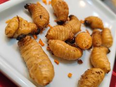 -了能菜·传统特色粤菜·虫宴