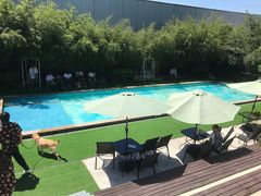 -汪说喵讲宠物乐园宠物酒店(红星美凯龙店)