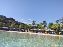 -重庆海昌加勒比海水世界