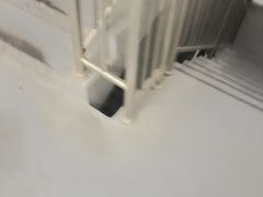 -巢爷老味(东方红店)