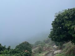-广州市石门国家森林公园