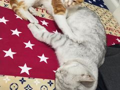 -大桶大足浴(南翔店)