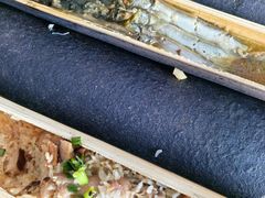 -竹泉农庄·竹筒饭(从化店)