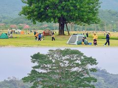 -风云岭森林公园