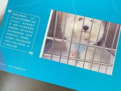 -美联众合动物医院·24h转诊中心