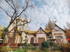 -东平国家森林公园