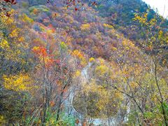 -叠溪松坪沟景区
