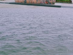 -包头南海湿地景区