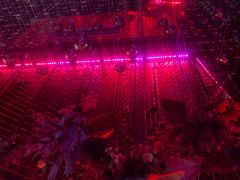 -好乐迪KTV(金钻店)