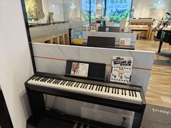 -柏斯琴行(汾阳店)
