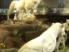 -陕西自然博物馆