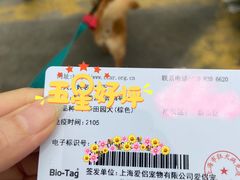 -爱侣宠医·鹦鹉专科·小型哺乳类·异宠专科(灵石路店)