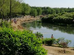-丁香湖公园