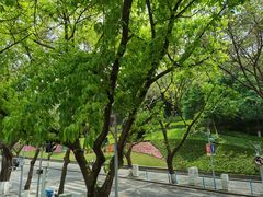 -廖记老砂锅(上清寺店)