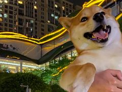 -周幺妹重庆老火锅(银泰城总店)