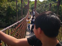 -上海长江河口科技馆