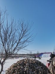 -优沃得自然教育农场·冰雪乐园·生日会·研学
