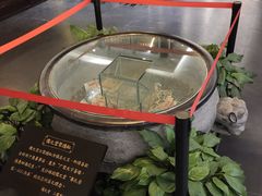 -儒之堂足道·SPA·推拿(莫干山路店)