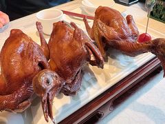 -大鸽饭(动物园店)
