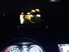 -枫花园汽车电影院(朝阳公园店)