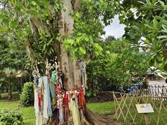 -西双版纳傣族园